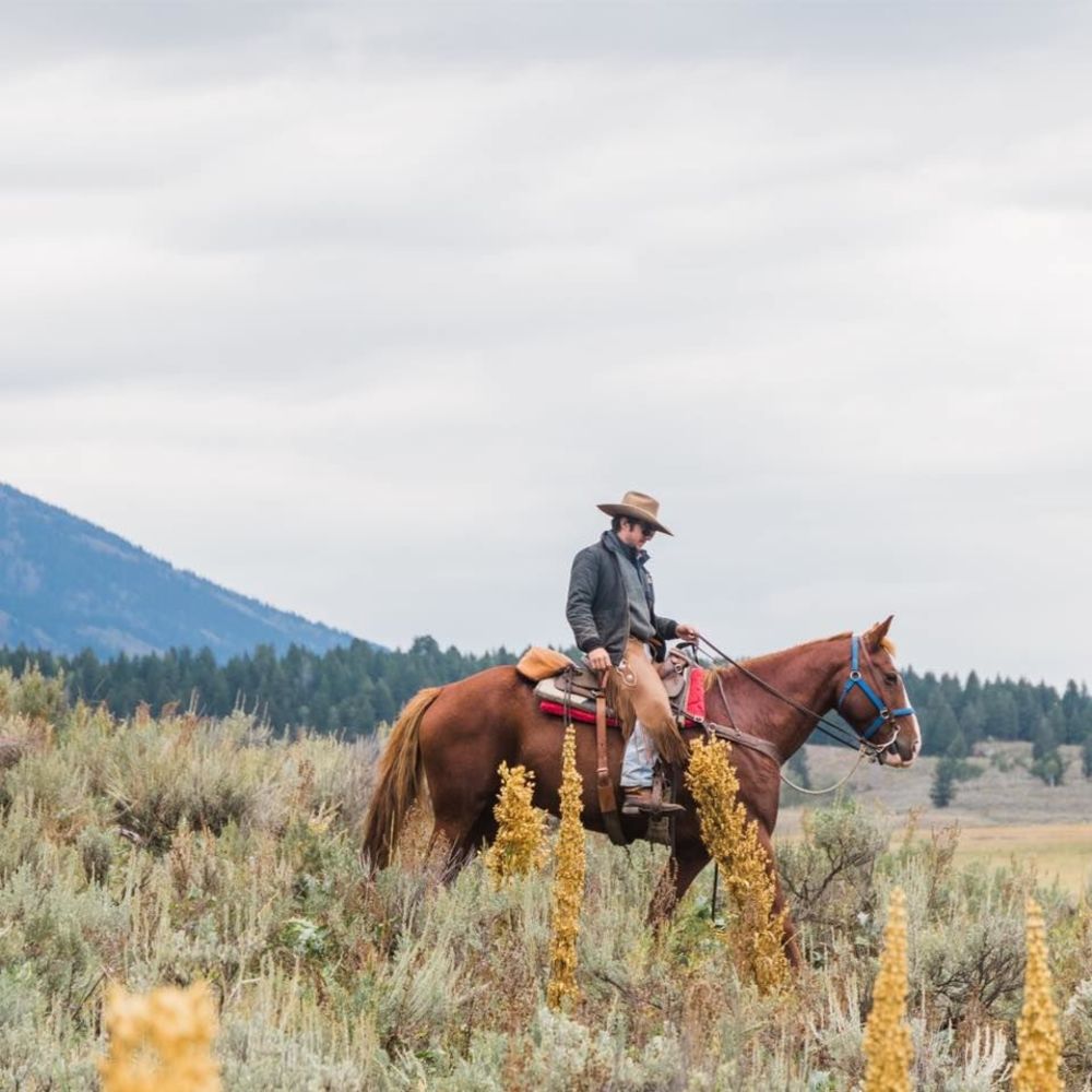 Meet your Posher, Hunter